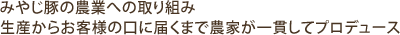 �݂₶�؂̔_�Ƃւ̎��g��